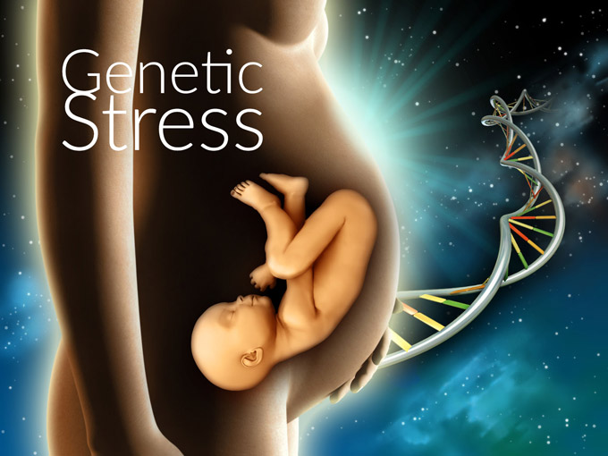 Genetic Stress is Proven – Here’s How You Can Reverse It