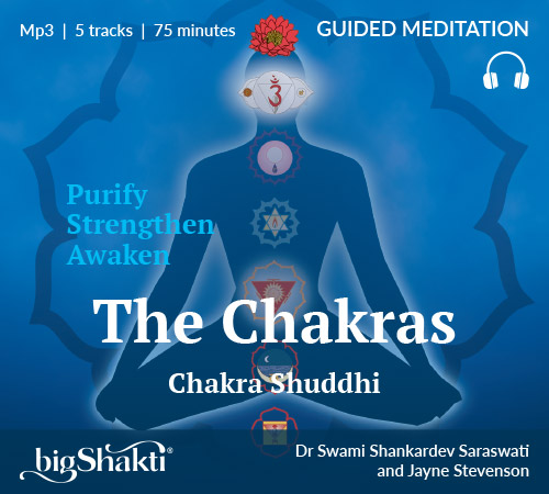 Big Shakti: Courses in Yoga, Meditation &#038; Yoga Therapy