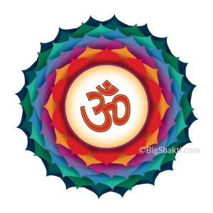 Copy of Big Shakti: Courses in Yoga, Meditation &#038; Yoga Therapy